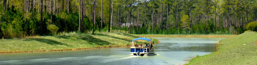 Lowcountry1