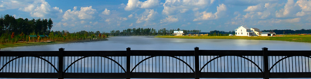 Lowcountry2