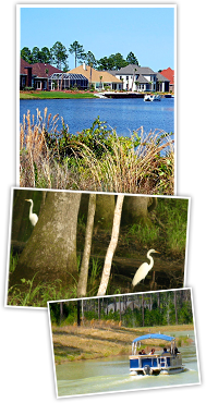 Lowcountry Living