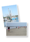 Visit