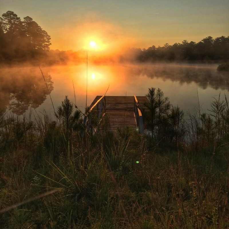 lowcountry real estate hilton